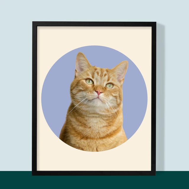 Foto: Jouw Kat - Afdruk Met Frame 30X40 (Verticaal)