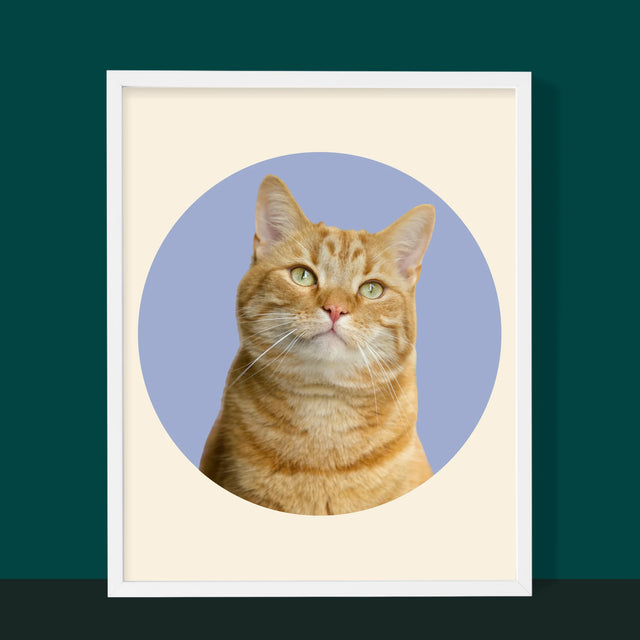 Foto: Jouw Kat - Afdruk Met Frame 30X40 (Verticaal)