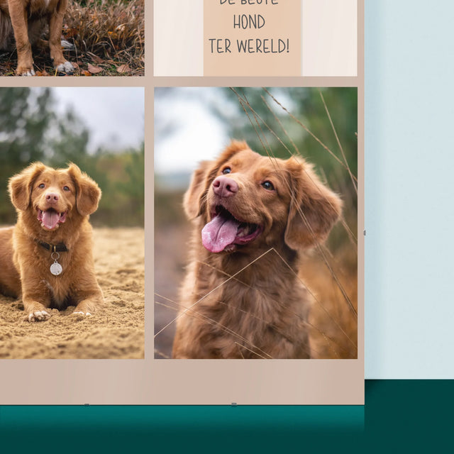 Fotocollage: Beste Hond - Poster