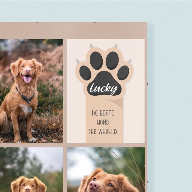 Fotocollage: Beste Hond - Poster