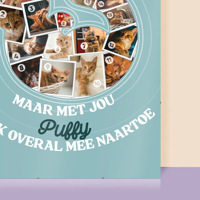 Vorm Van Foto'S: Kat - Poster