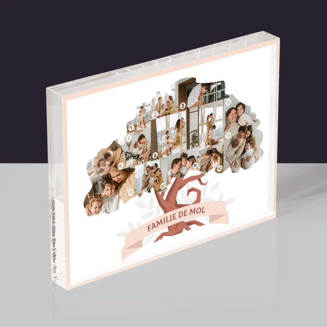 Vorm Van Foto'S: Stamboom - Acryl Blok