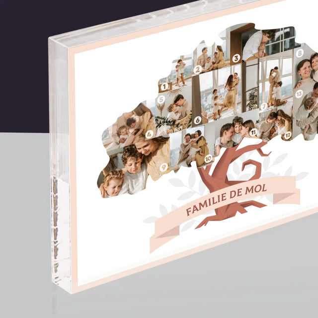 Vorm Van Foto'S: Stamboom - Acryl Blok