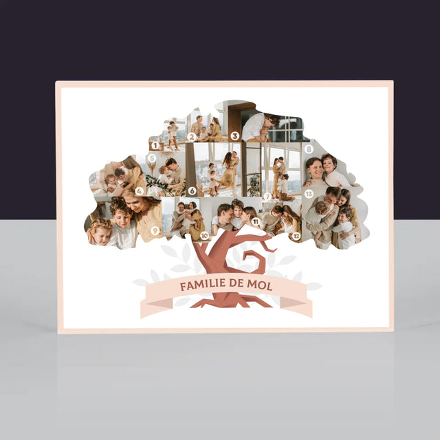 Vorm Van Foto'S: Stamboom - Acryl Blok