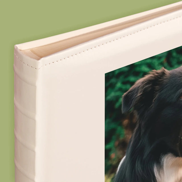 Foto En Handtekening: Huisdier Definitie - Fotoalbum