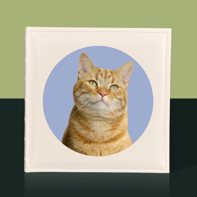 Foto: Jouw Kat - Fotoalbum