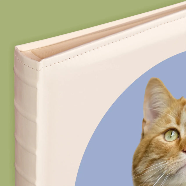 Foto: Jouw Kat - Fotoalbum