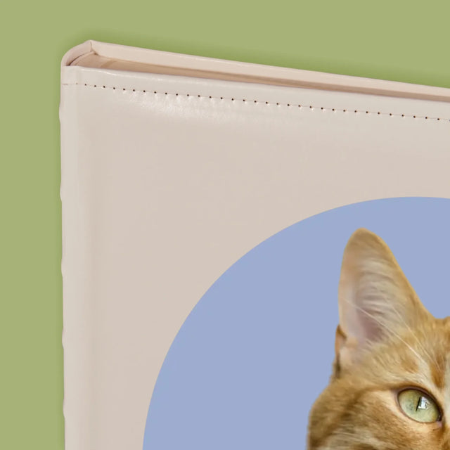 Foto: Jouw Kat - Fotoalbum