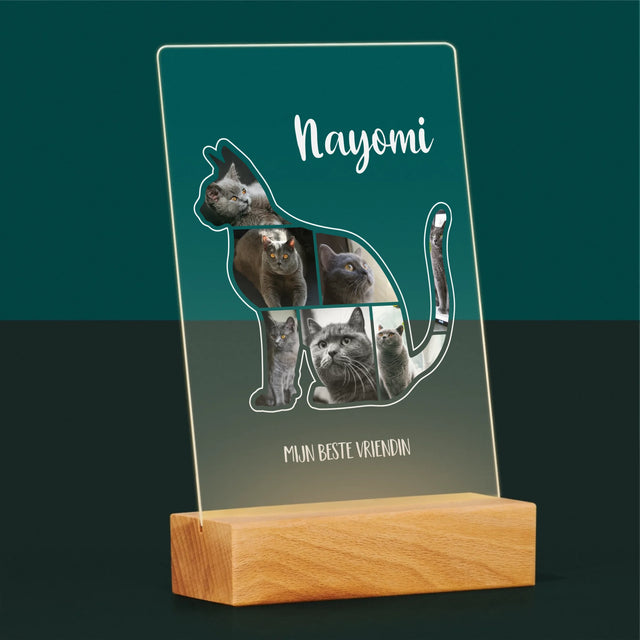 Vorm Van Foto'S: Kat Is De Beste Vriend - Afdruk Op Acrylglas (Verticaal)