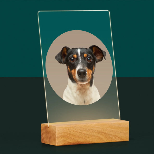 Foto: Jouw Hond - Afdruk Op Acrylglas (Verticaal)