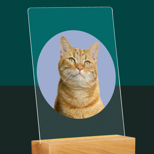Foto: Jouw Kat - Afdruk Op Acrylglas (Verticaal)
