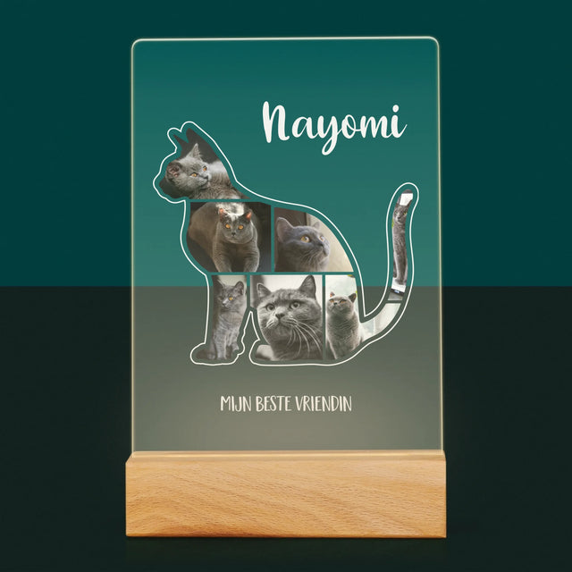 Vorm Van Foto'S: Kat Is De Beste Vriend - Afdruk Op Acrylglas (Verticaal)