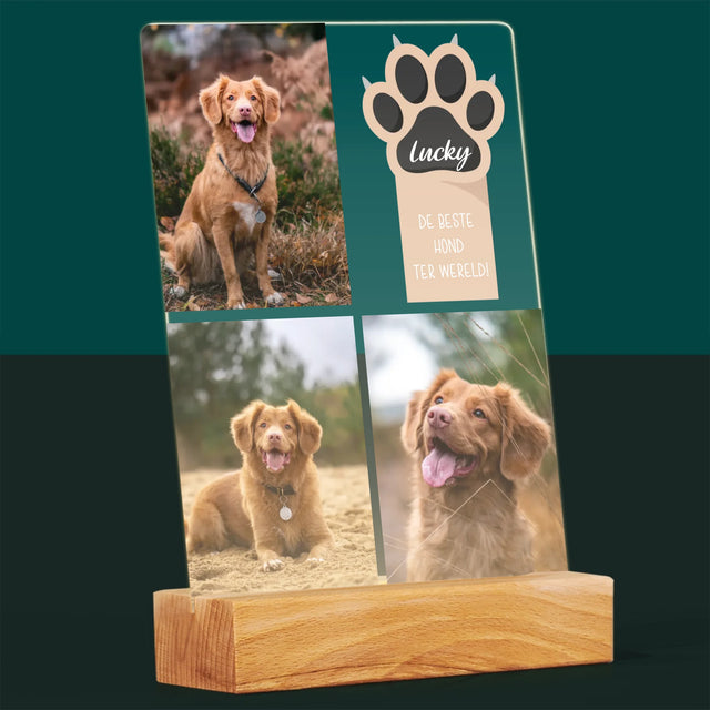 Fotocollage: Beste Hond - Afdruk Op Acrylglas (Verticaal)
