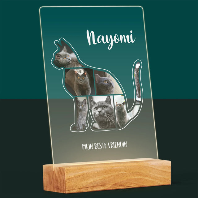 Vorm Van Foto'S: Kat Is De Beste Vriend - Afdruk Op Acrylglas (Verticaal)