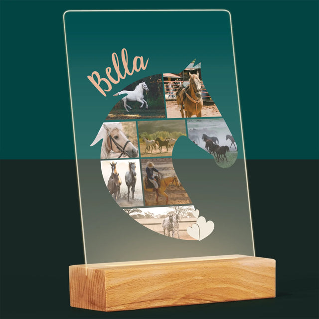 Vorm Van Foto'S: Paard - Afdruk Op Acrylglas (Verticaal)