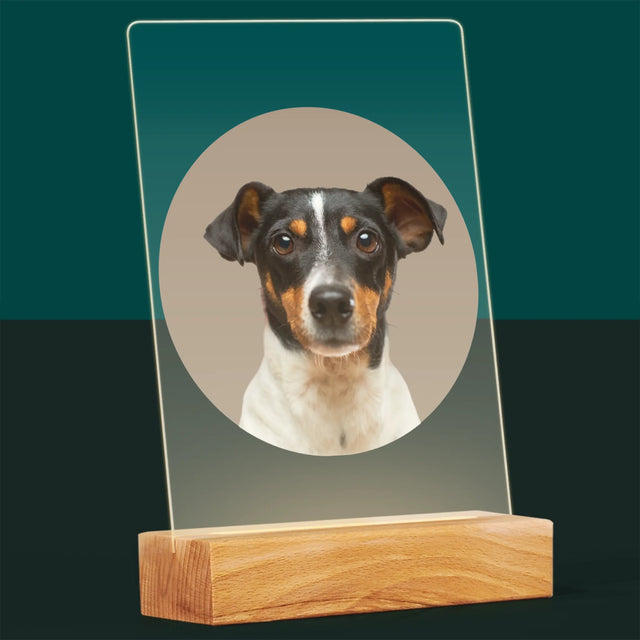 Foto: Jouw Hond - Afdruk Op Acrylglas (Verticaal)