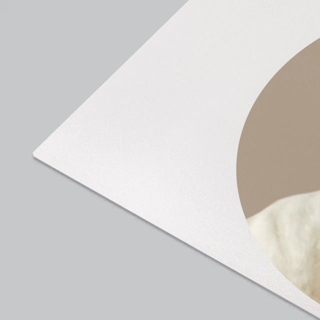 Foto: Jouw Hond - Bureauonderlegger