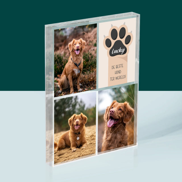 Fotocollage: Beste Hond - Acryl Blok