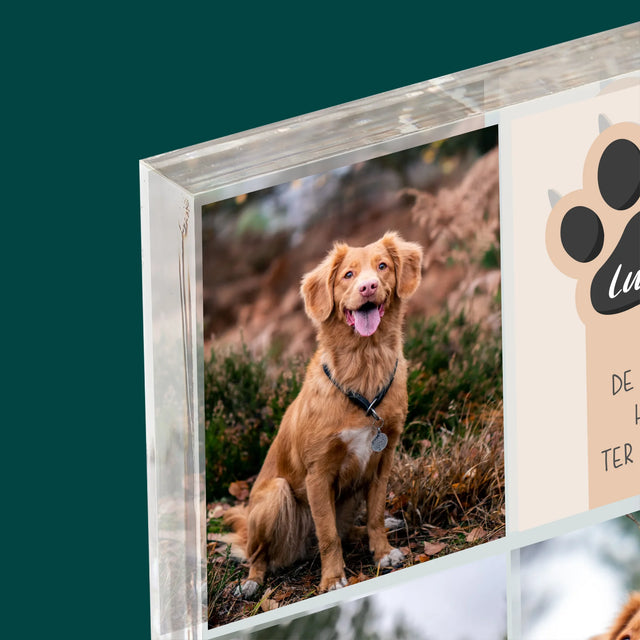 Fotocollage: Beste Hond - Acryl Blok