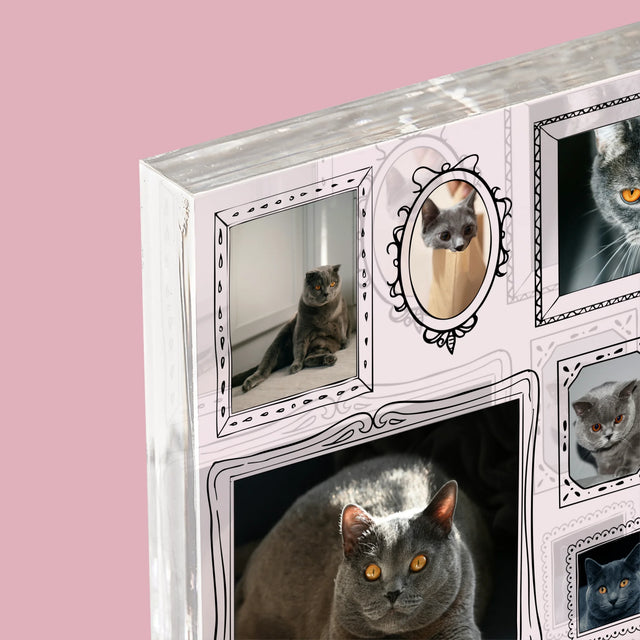 Fotocollage: Fotomuur Met Jouw Huisdier - Acryl Blok