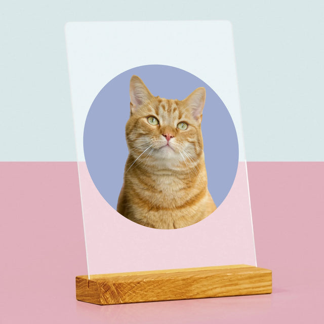 Foto: Jouw Kat - Afdruk Op Acrylglas (Verticaal)
