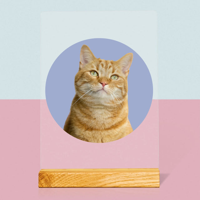 Foto: Jouw Kat - Afdruk Op Acrylglas (Verticaal)