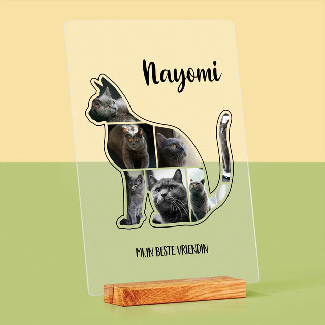 Vorm Van Foto'S: Kat Is De Beste Vriend - Afdruk Op Acrylglas (Verticaal)