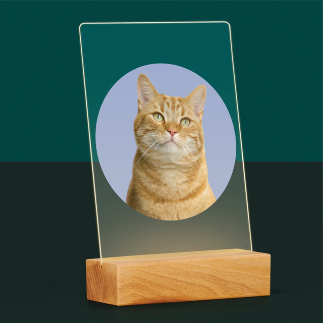 Foto: Jouw Kat - Afdruk Op Acrylglas (Verticaal)