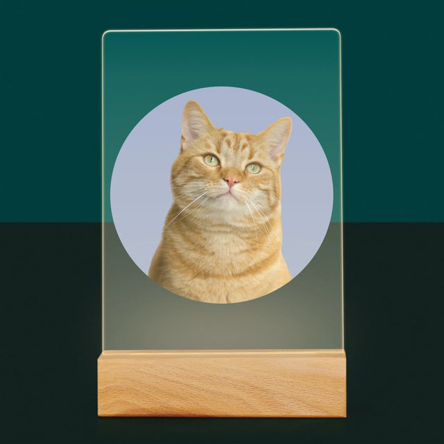 Foto: Jouw Kat - Afdruk Op Acrylglas (Verticaal)