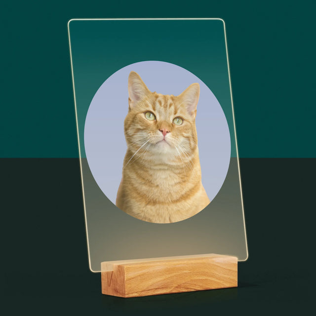 Foto: Jouw Kat - Afdruk Op Acrylglas (Verticaal)