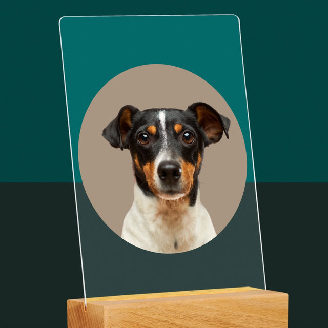 Foto: Jouw Hond - Afdruk Op Acrylglas (Verticaal)