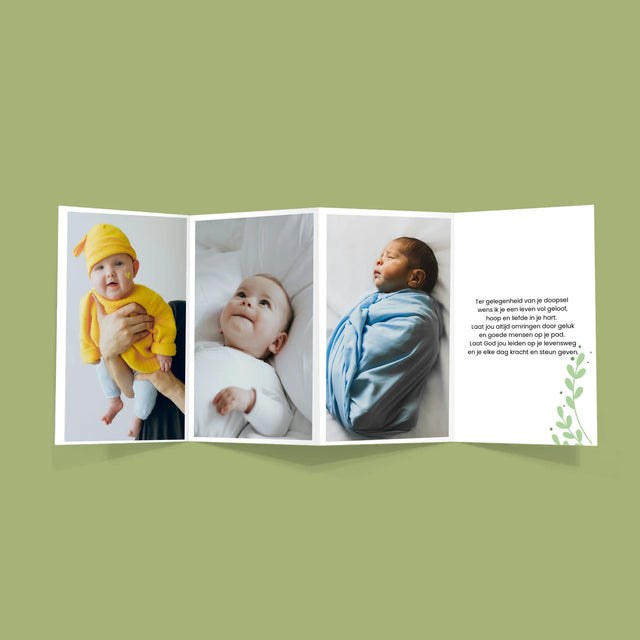 Foto En Handtekening: Ter Gelegenheid Van De Doop - Grote Harmonica Van Foto'S