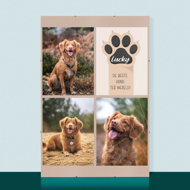 Fotocollage: Beste Hond - Poster