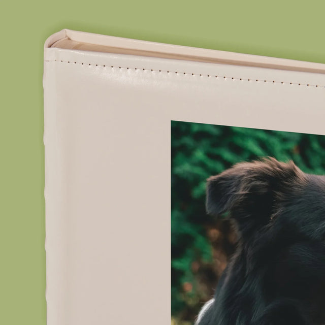 Foto En Handtekening: Huisdier Definitie - Fotoalbum