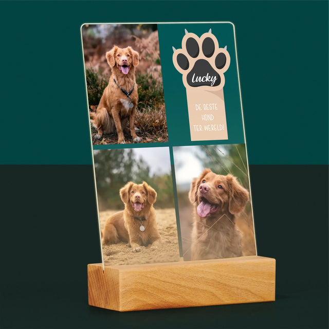 Fotocollage: Beste Hond - Afdruk Op Acrylglas (Verticaal)