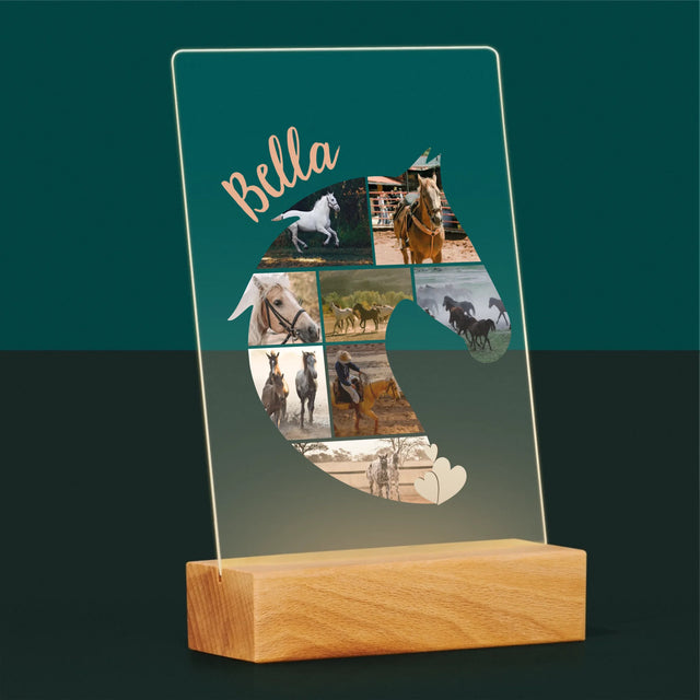 Vorm Van Foto'S: Paard - Afdruk Op Acrylglas (Verticaal)