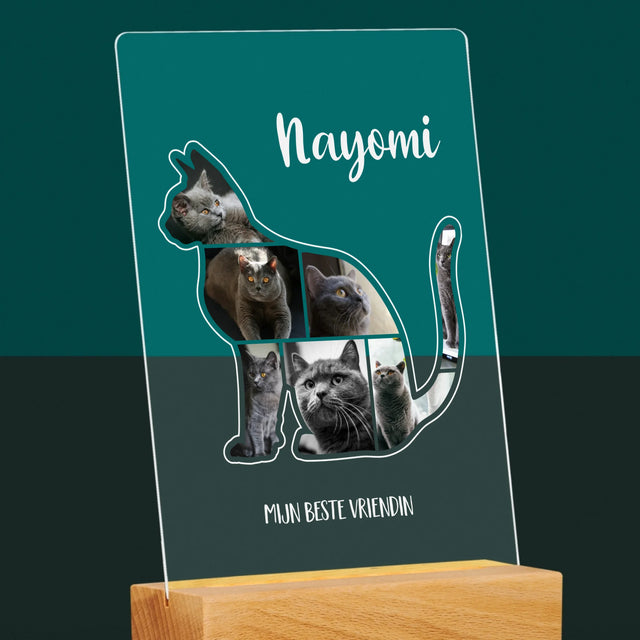 Vorm Van Foto'S: Kat Is De Beste Vriend - Afdruk Op Acrylglas (Verticaal)