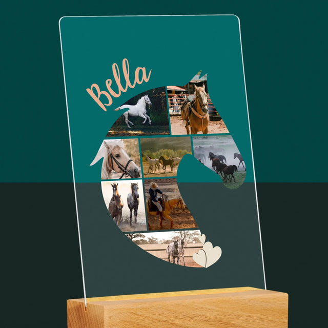 Vorm Van Foto'S: Paard - Afdruk Op Acrylglas (Verticaal)