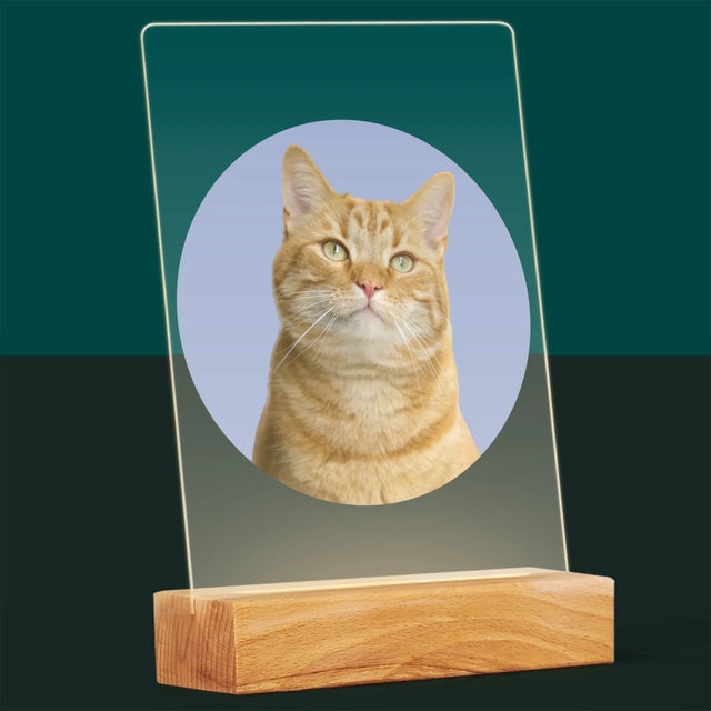 Foto: Jouw Kat - Afdruk Op Acrylglas (Verticaal)