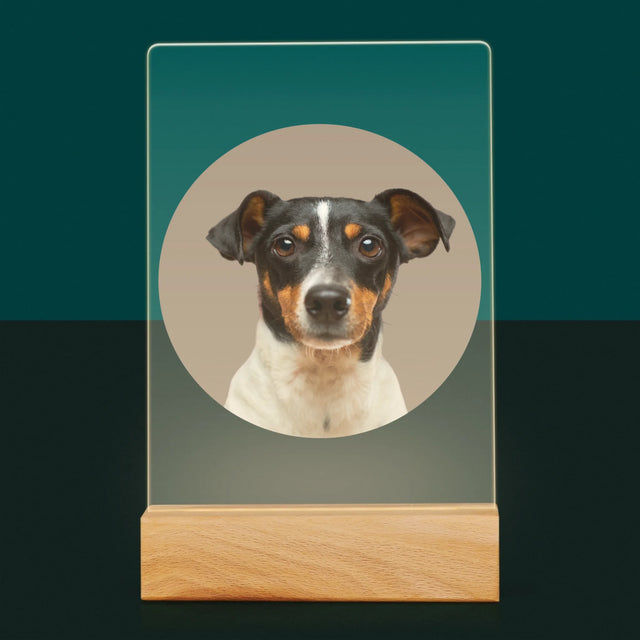 Foto: Jouw Hond - Afdruk Op Acrylglas (Verticaal)